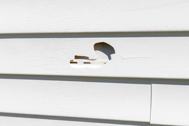 Custom Trim and Detailing for Siding in Mapleton, MN